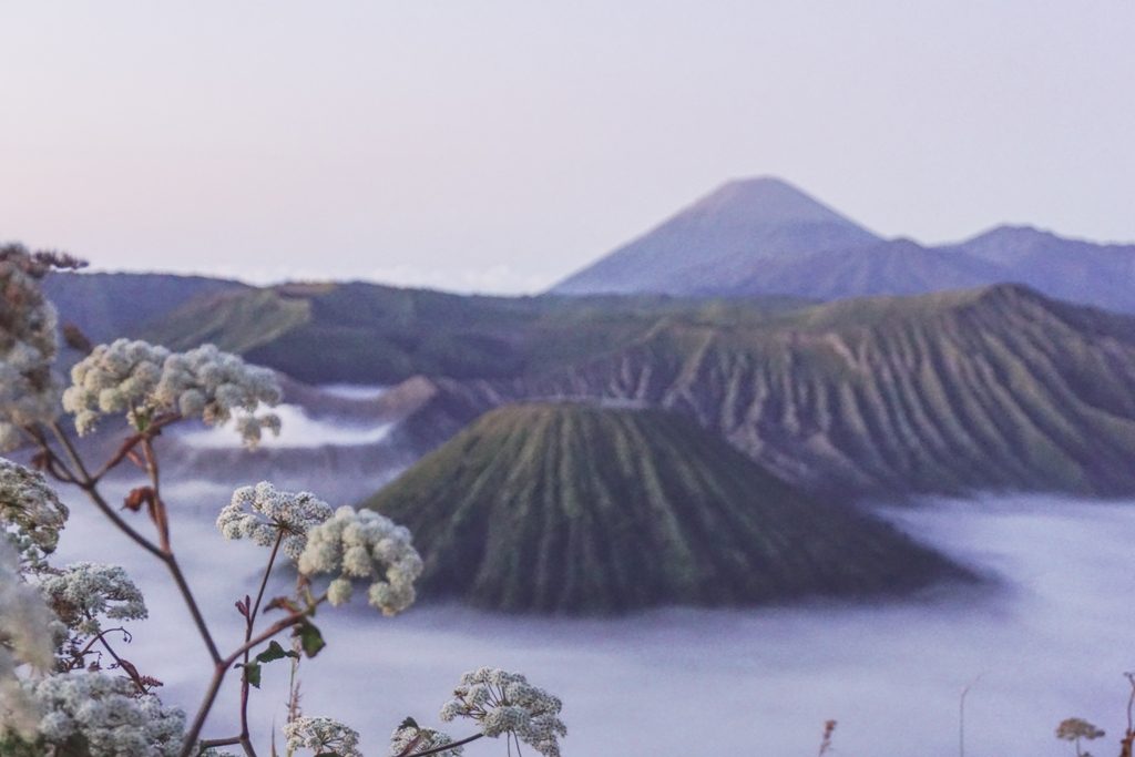 Surabaya Bromo Madakaripura Ijen 3 Days 2 Experience the Best of Bali and Java with Our Amazing Holiday Packages
