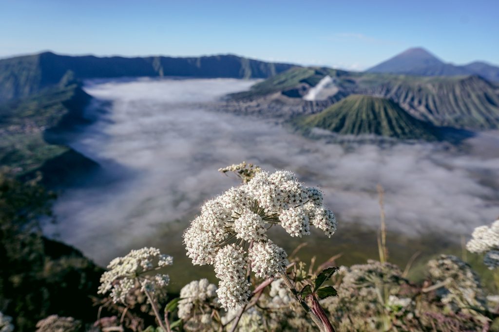 Surabaya Bromo Tumpak Sewu Ijen 4 Days 2 Experience the Best of Bali and Java with Our Amazing Holiday Packages