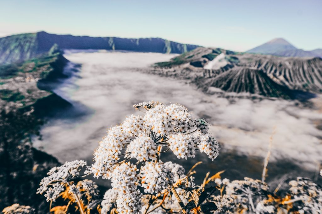 malang bromo ijen tour 3 days 3 Experience the Best of Bali and Java with Our Amazing Holiday Packages