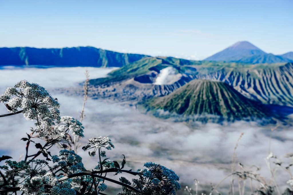 surabaya bromo ijen milky way 4 days 2 Experience the Best of Bali and Java with Our Amazing Holiday Packages