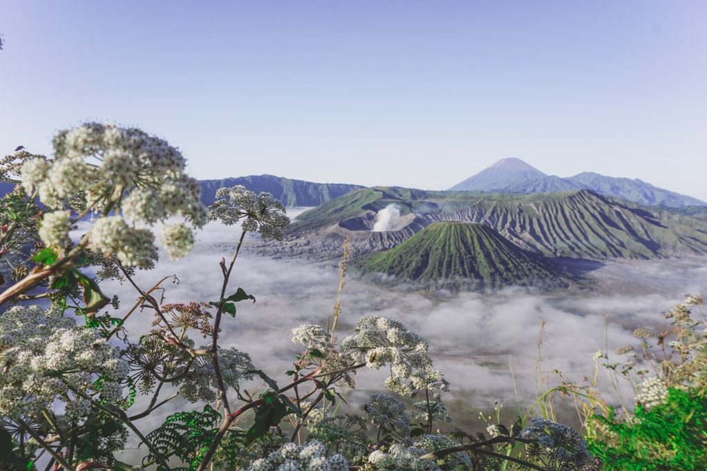 surabaya bromo ijen tour 3 days 2 Experience the Best of Bali and Java with Our Amazing Holiday Packages