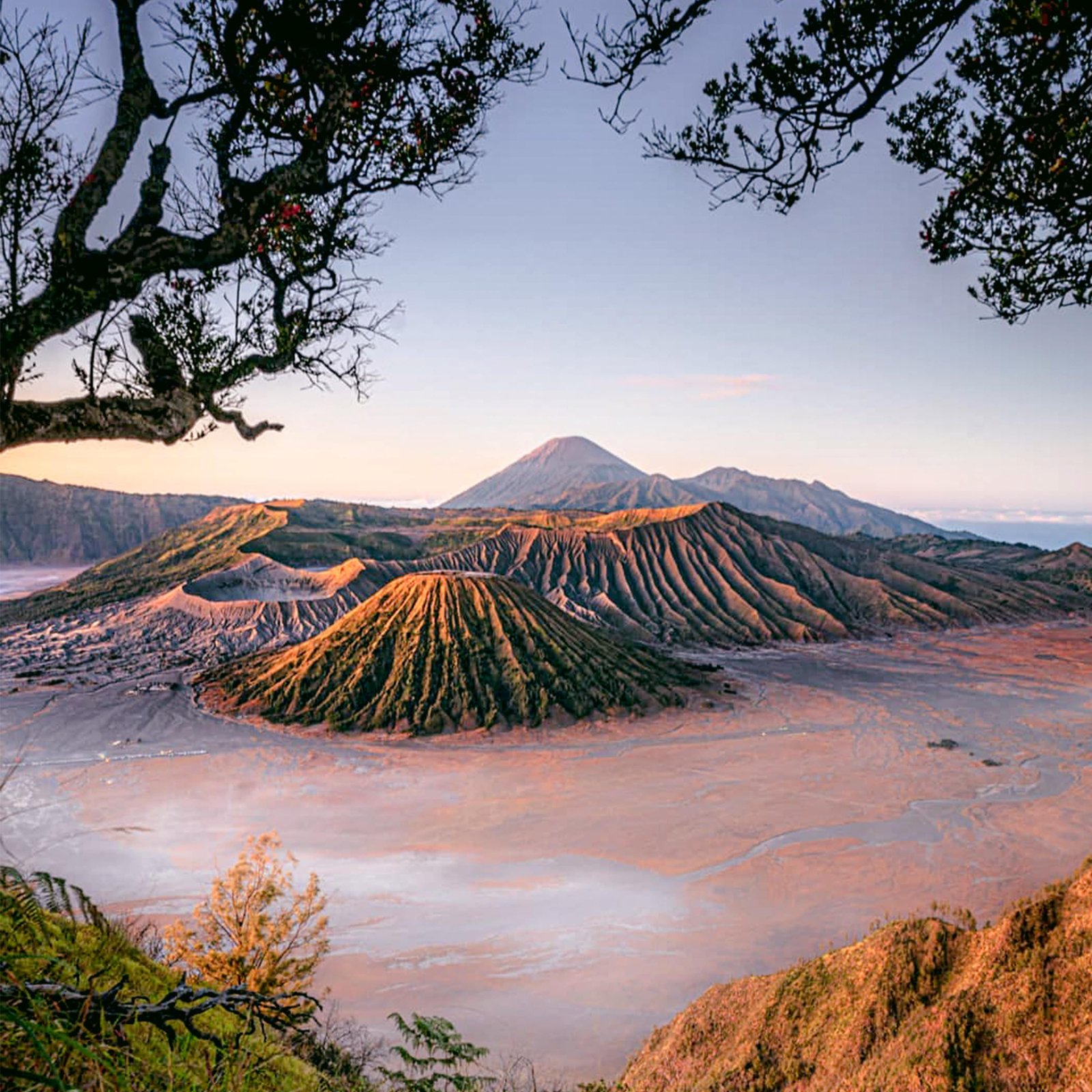  Mount  Bromo Milky Way Madakaripura Ijen  Crater Tour From 