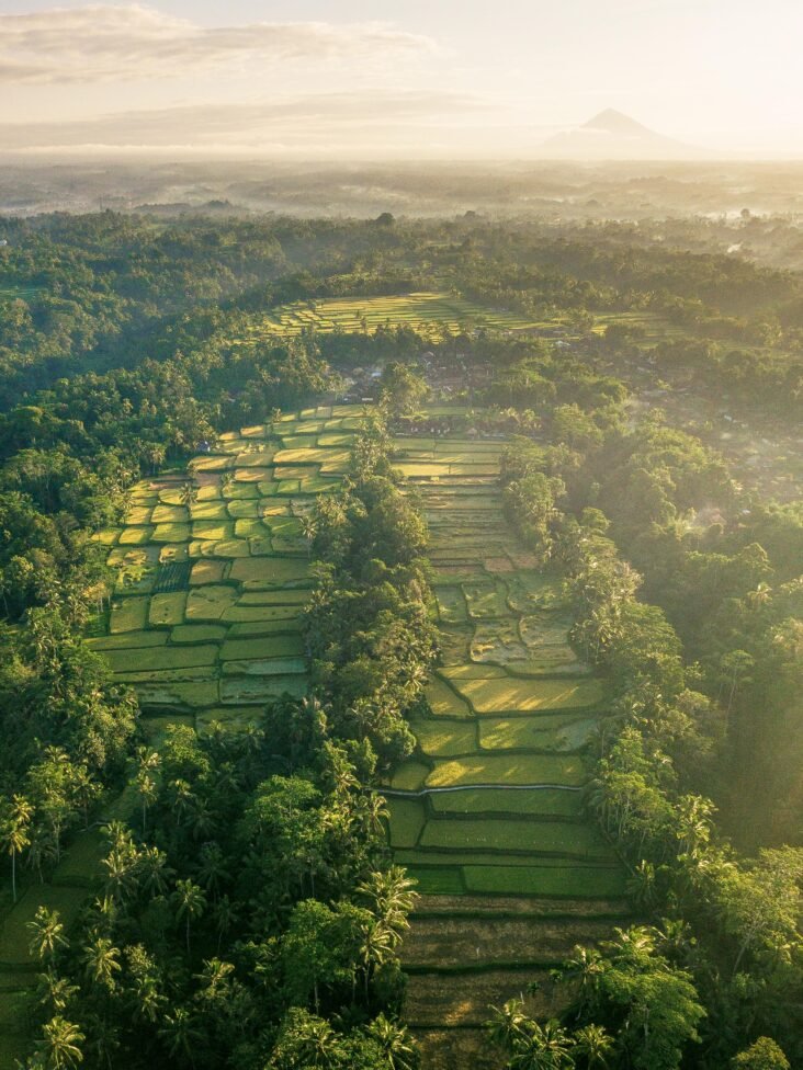 bali rice terrace field Experience the Best of Bali and Java with Our Amazing Holiday Packages