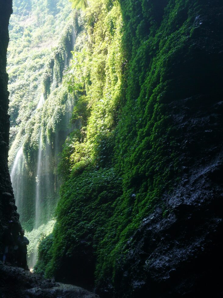 waterfall of madakaripura Experience the Best of Bali and Java with Our Amazing Holiday Packages