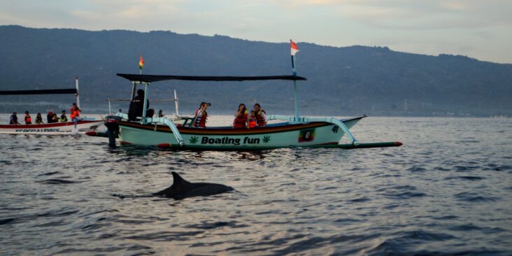 dolphin lovina bali Experience the Best of Bali and Java with Our Amazing Holiday Packages