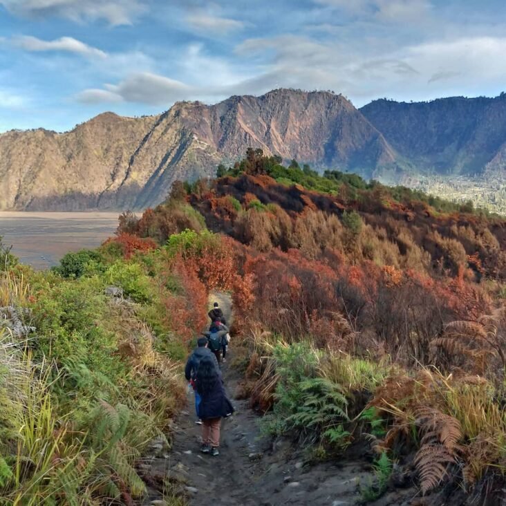 Yogyakarta to Mount Bromo 5