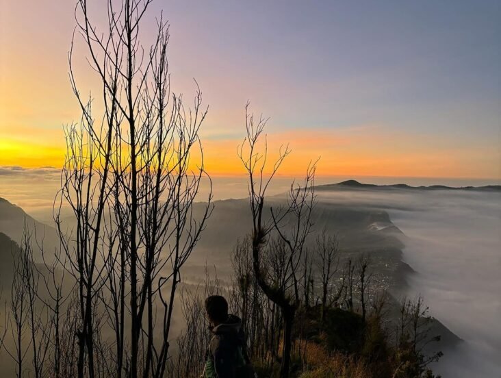 Yogyakarta to Mount Bromo 13