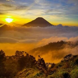 Sikunir Hill Dieng: A Perfect Sunrise Destination