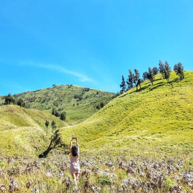 exploring the wonders of Mount Bromo 9