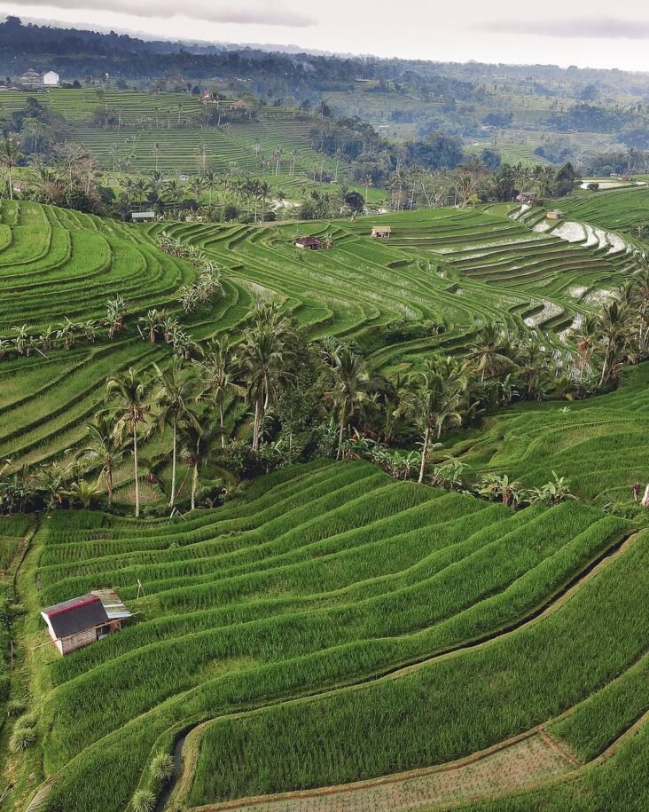java to bali overland itinerary 9 