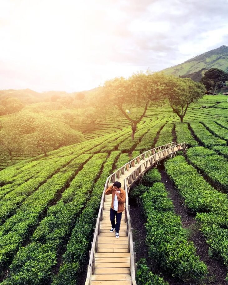 java to bali overland itinerary 4 