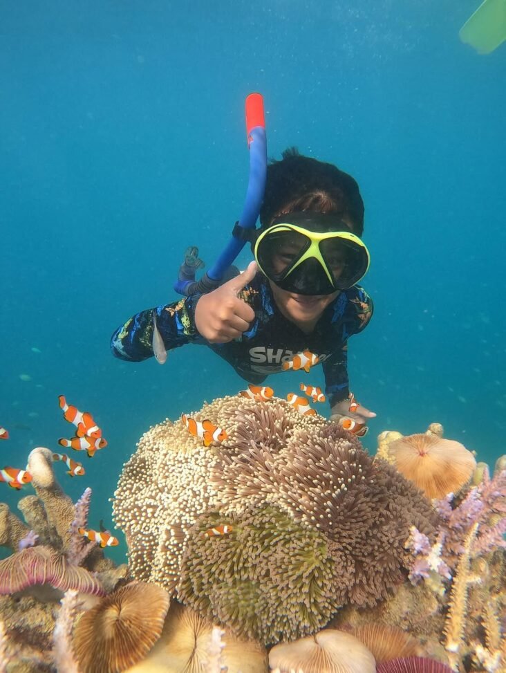 Coral Reefs in Karimunjawa inggit musa Experience the Best of Bali and Java with Our Amazing Holiday Packages
