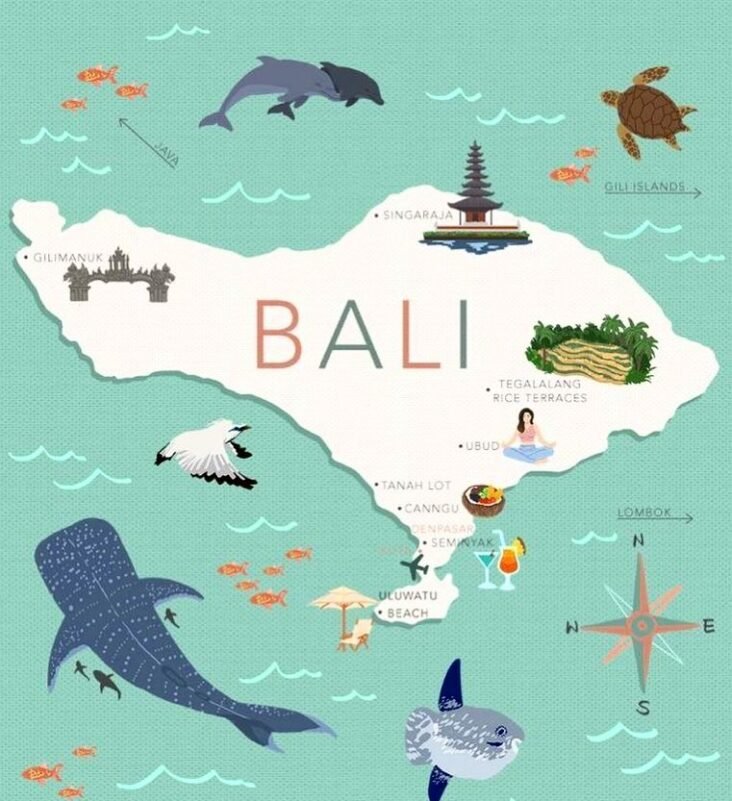 private driver in Bali 5