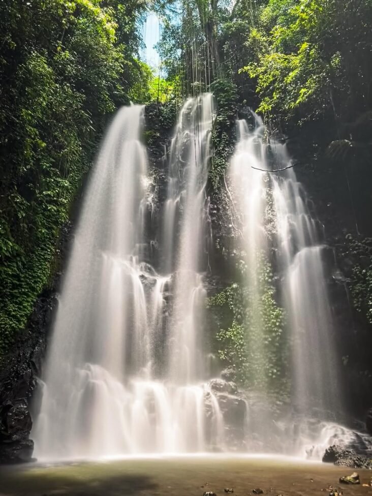 private driver in Bali 1