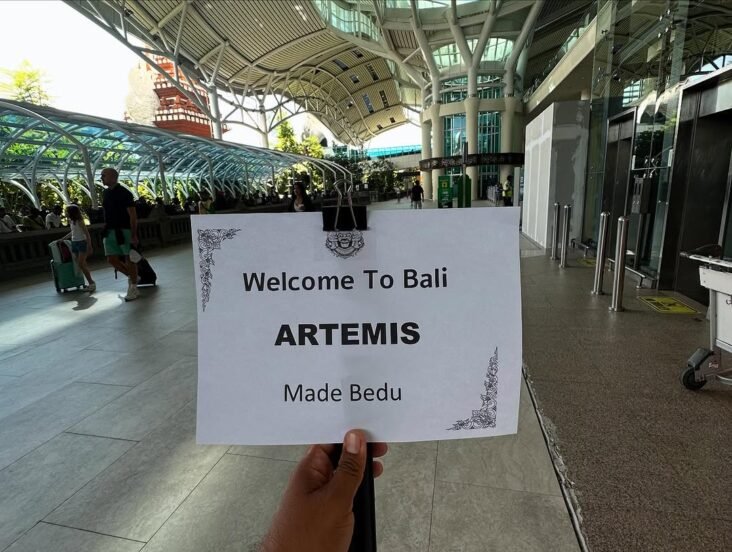 private driver in Bali 3