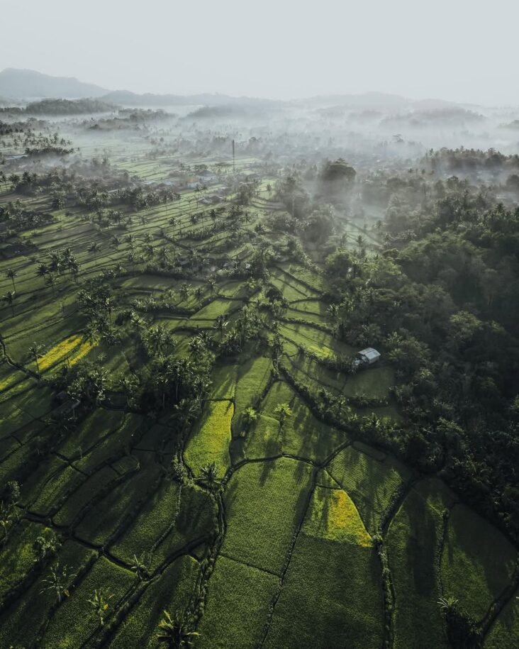 private driver in Bali 4